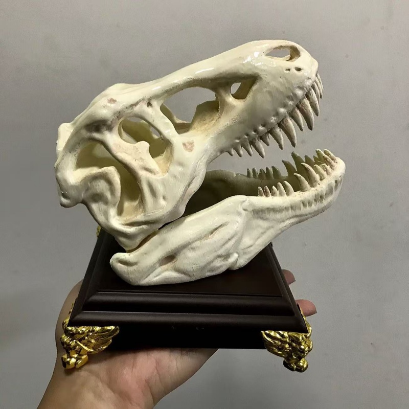 3D Printing Enthusiast - 3D-печатная модель черепа тираннозавра-рекса, украшение для