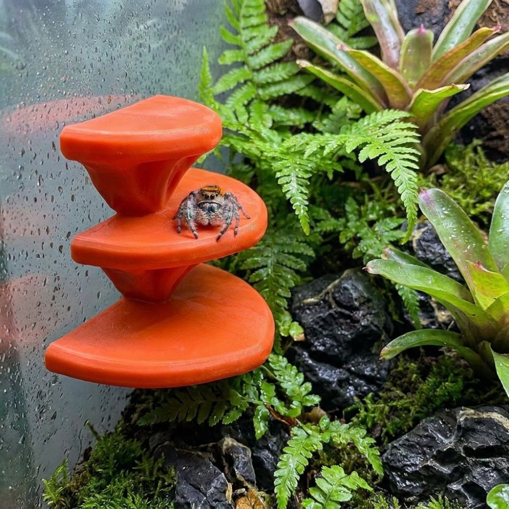 3D-печатная платформа для лаза – обзор и цена 3D Printing Lizard