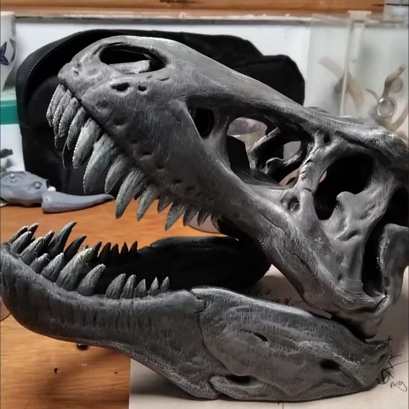 3D-печатная модель черепа тира – обзор и цена 3D Printing Enthusiast