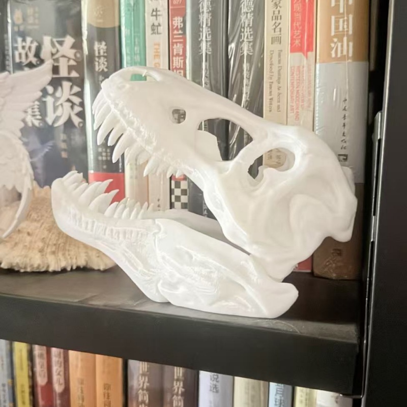 3D-печатная модель черепа тира – обзор и цена 3D Printing Enthusiast