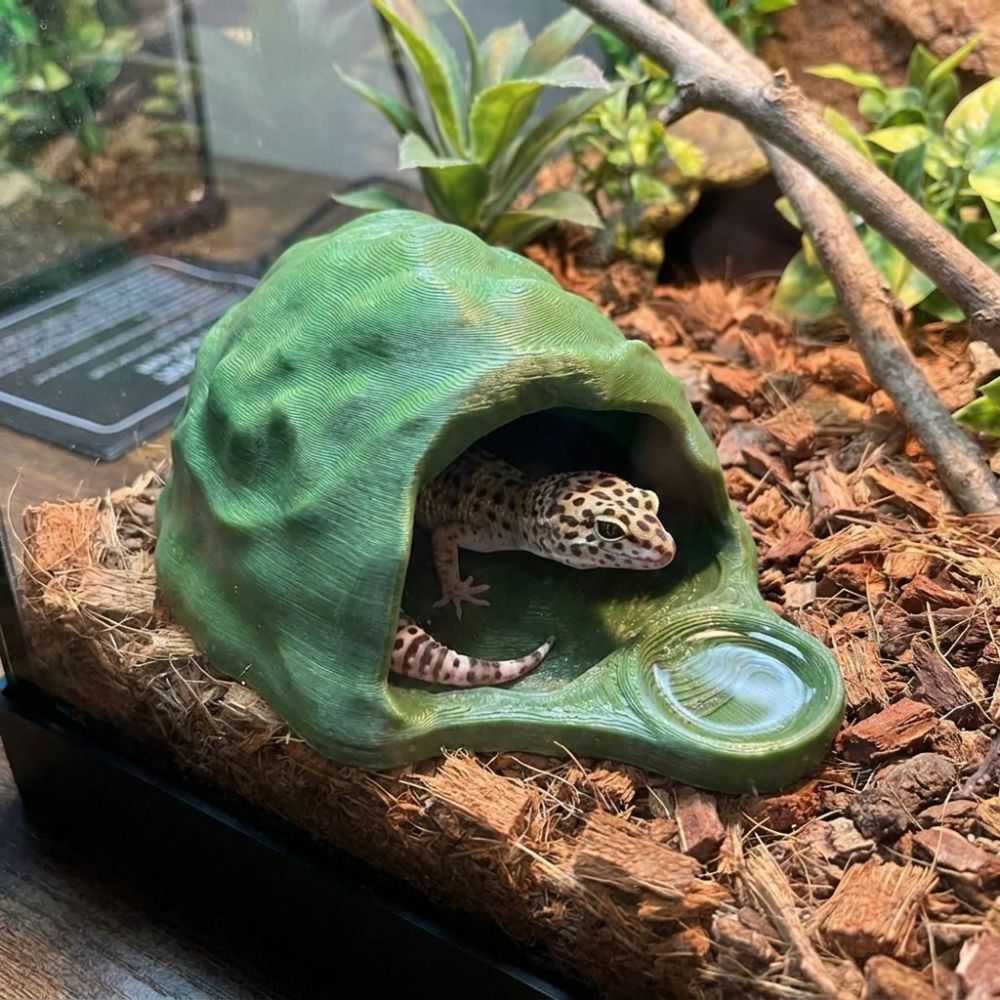 Уникальное имитационное укрыти – обзор и цена 3D Printing Lizard